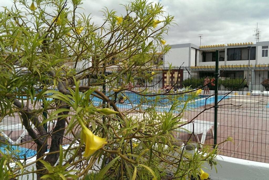 Апартаменты Apartamento Drago Коста-дель-Силенцио Экстерьер фото
